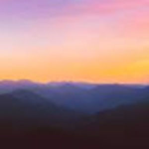 Meet your Posher, Louise